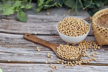 Fresh soybeans on wooden table background with sunlight in the morning. Healthy drink concept.