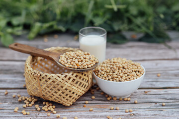 Delicious soy milk on wooden table background with Sunlight in the morning. Fresh healthy drink concept.