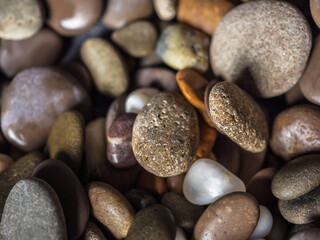 Fototapeta na wymiar Multi-colored wet pebbles on the shore close-up. Various shapes of stones. Unusual stones. Macrocosm. Pebble background. Shore. Beach. Pebble texture