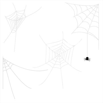 The spider comes down from the web. Different cobwebs for Halloween decoration