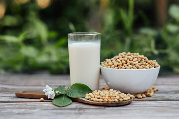 Delicious soy milk on wooden table background with Sunlight in the morning. Fresh healthy drink concept.