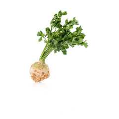 raw celery root with green leaf isolated on white background
