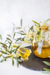 Olive branch and olive oil bottle isolated on white.