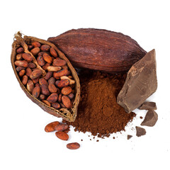 Cocoa pods and beans with cocoa powder and cocoa pieces isolated on a white background.