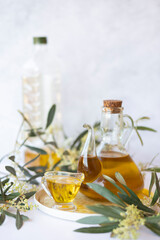 Olive branch and olive oil bottle isolated on white.