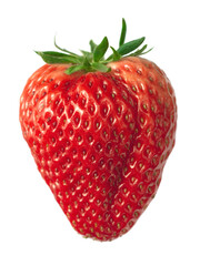 one fresh strawberry, isolated on white background