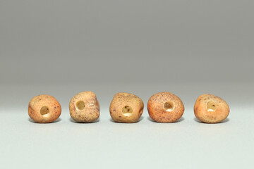Dried yellow pea seeds with holes gnawed by pea weevil (Bruchus pisorum). Spoiled perforated sweet pea seeds close-up on gray background lying in a row.