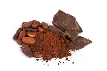 Cocoa beans with cocoa powder and chocolate pieces isolated on a white background.