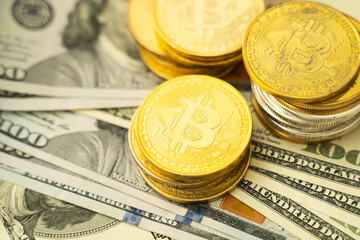Golden bitcoin coins with on a dollars. Trading on the cryptocurrency exchange. Cryptocurrency Stock Market Concept. Mining or blockchain technology. Business concept.