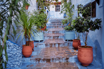 Fototapeta na wymiar Travel by .Morocco. Street in medina of blue town Chefchaouen.