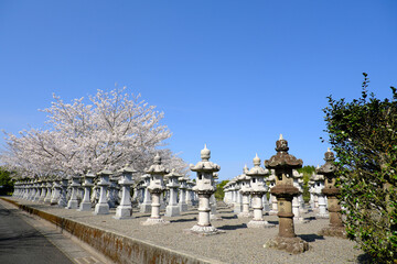 Fototapeta na wymiar 春の特攻平和会館にあるお墓の風景