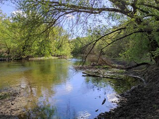 the river in the forest
