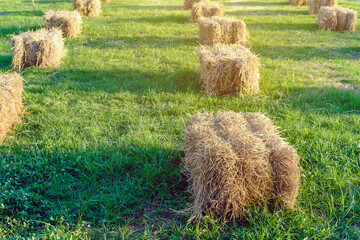Seats and tables made from straw bales for event and party laid on lawn yard. Straws stubble decorated for sitting in the countryside. Furniture made of pallets and straw bales. Selective focus.