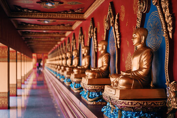 Fototapeta premium Many Golden statues of Buddha in thai temple.