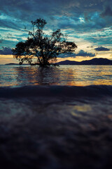 Fototapeta na wymiar Beautiful sunset landscape with colorful sky and tree silhouette in water near the shore.
