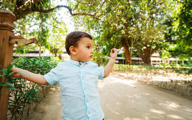 Little boy in beautiful subtropical park, toddler wearing light blue shirt