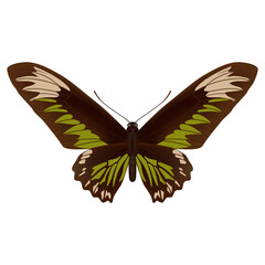 Hand drawn vector illustration