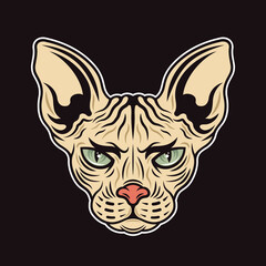 Sphynx cat head vector colored illustration in cartoon style on dark background