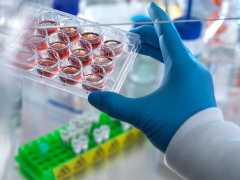 Technician holding multi well plate with blood samples in laboratory