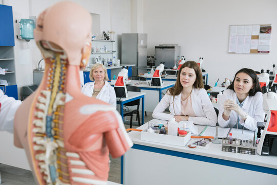 View of students analyzing anatomy model in science class