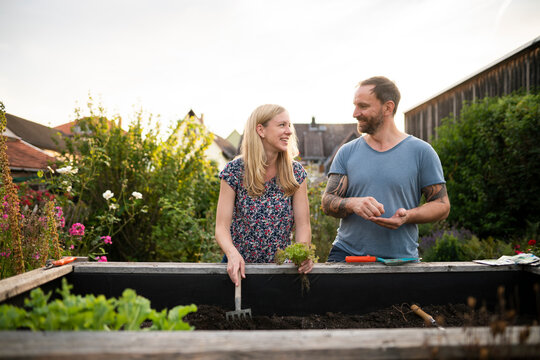 Smiling couple doing gardening while discussing at garden
