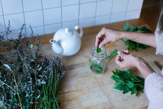 Woman's hands putting herbal leaves in jar while to prepare tea at home