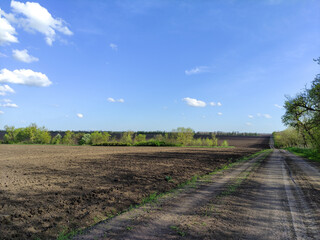 Fototapeta premium Agricultural field in the spring time