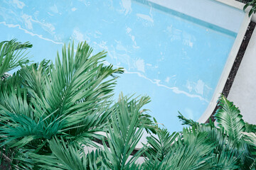 Top view on blue pool with palm leaves.