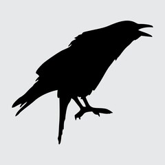 Crow Silhouette, Crow Isolated On White Background