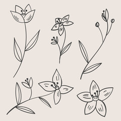 Collage of different parts of a flower. Set of hand drawn plants, leaves, dots, blooms. Minimalist sketches. Isolated on beige. Illustrations for social networks, cover design, interiors, advertising.
