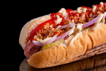 hot dog, grilled bun, sausage mix, fresh tomato, salted cucumber, mayonnaise, french onions