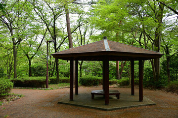 Fototapeta na wymiar 新緑の季節の公園の休憩所