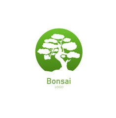 Japanese bonsai tree. Green round logo, tree icon. Bonsai silhouette vector illustration on isolated white background. Ecology, nature, bio concept. Design template. Text can be replaced