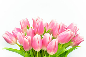 Bouquet of pink tulips on a white background. The tops of flower buds. Side view.  Valentine's Day. Easter. Mother's day. Spring flowers