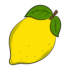 lemon, fruit in a linear style. Colorful vector decorative element, drawn by hand.