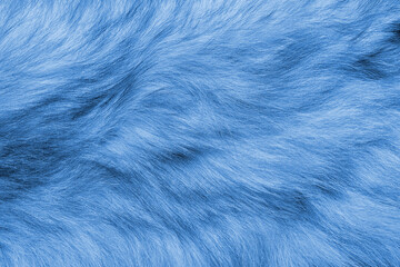 Colorful blue background fur texture