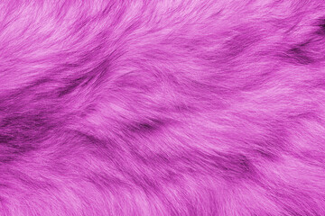Colorful pink background fur texture