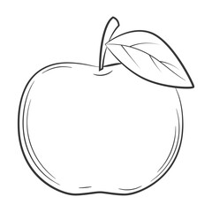 Apple,fruit in a linear style. Black and white vector decorative element, drawn by hand.