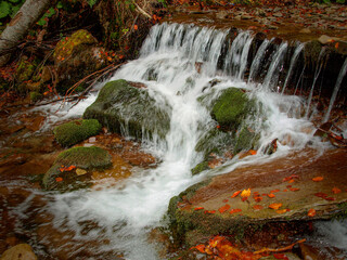 Ukraine, Transcarpathia, Mizhgirya region. On the way to the Shypot waterfall