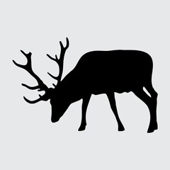 Deer Silhouette, Deer Isolated On White Background