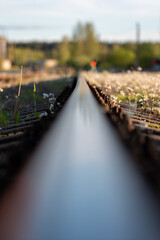 A rail that leads to nowhere covered a flowers.