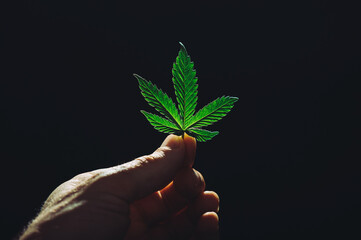 legalization of cannabis