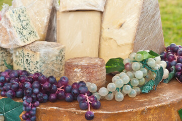 front view, close distance of a variety of European cheeses, with decritive grapes on display and for sale at a tropical food fair