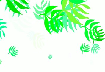Fototapeta na wymiar Light Green vector doodle backdrop with leaves.