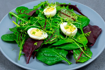 Quail eggs boiled on a lettuce leaf with microgreen sprouts. Proper nutrition. Vegan food.