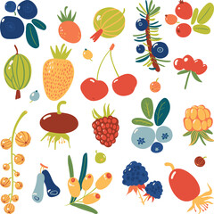 Set of the different berries: Blueberry, blackberry, cloudberry, crowberry, lingonberry, strawberry, cherry, sea buckthorn, gooseberry and currant. Isolated vector illustrations on the white backgroun