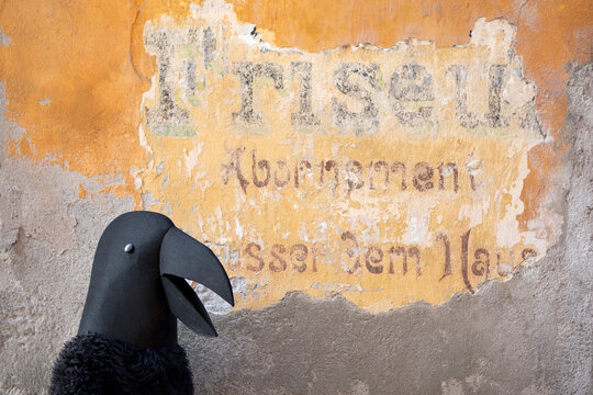 Female in crow costume against old wall