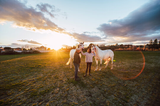 Ranchers talking while standing with horses in ranch during sunset