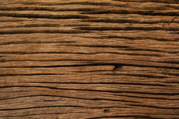 Old wood texture closeup. Damaged Wood close up. Wooden background