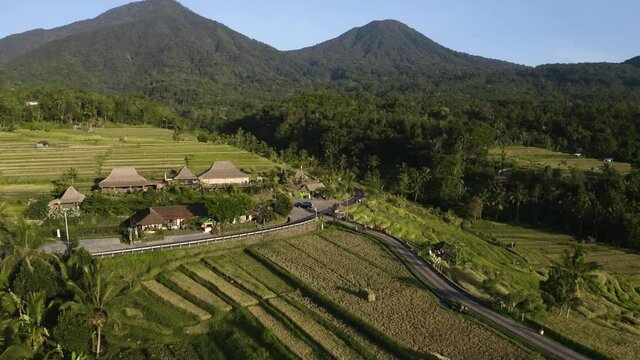 Drone Shot Passing Over the Jatiluwih Rice Terraces
